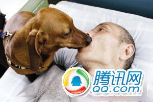 狗儿.jpg