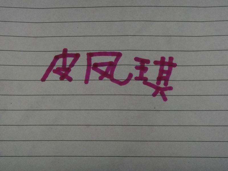 应我的请求，皮皮工工整整地写下自己的名字（HOHO，身为男孩子，这名字真秀气啊）