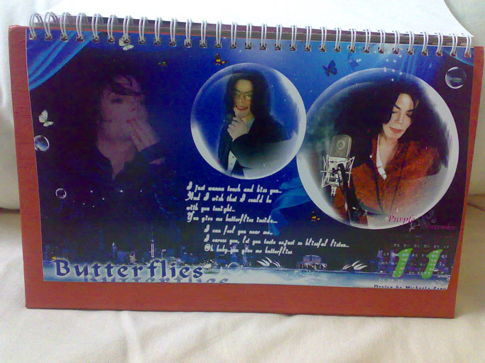 20100202132.jpg