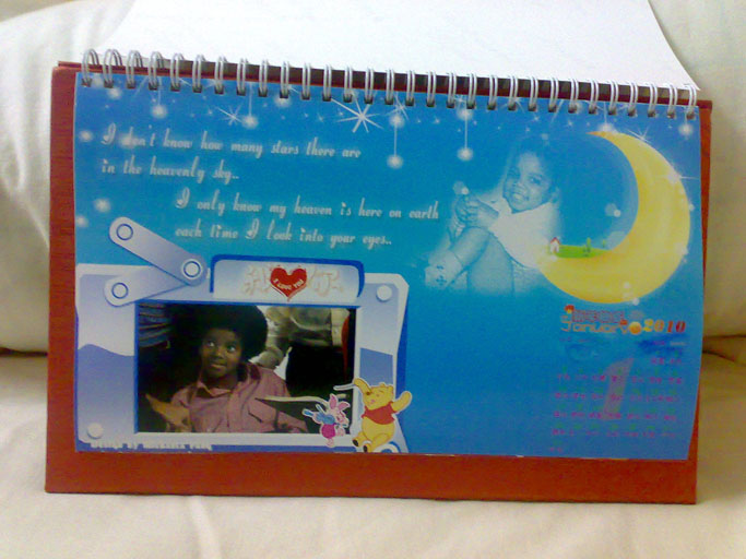 20100202120.jpg