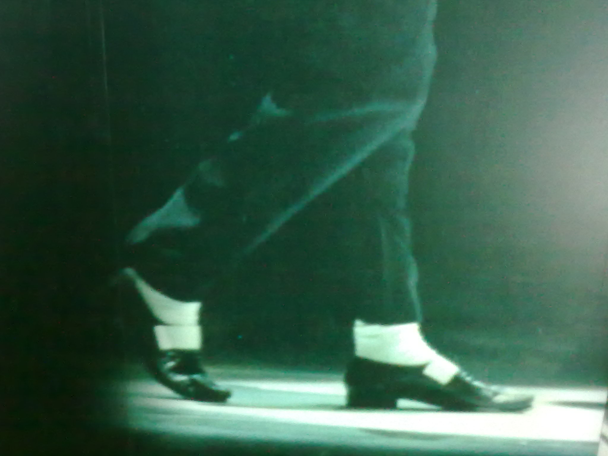20100212653.jpg