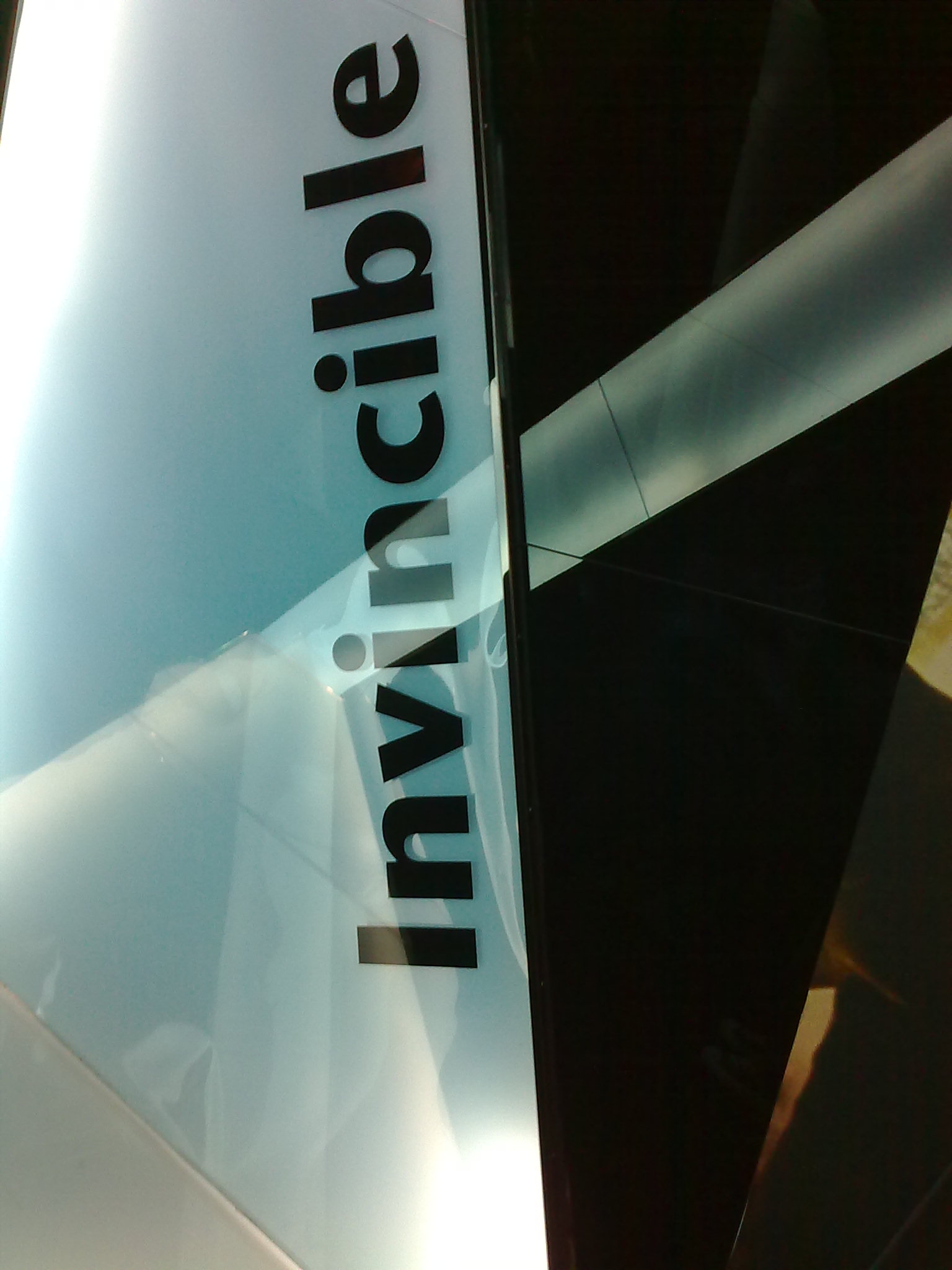 20100212659.jpg