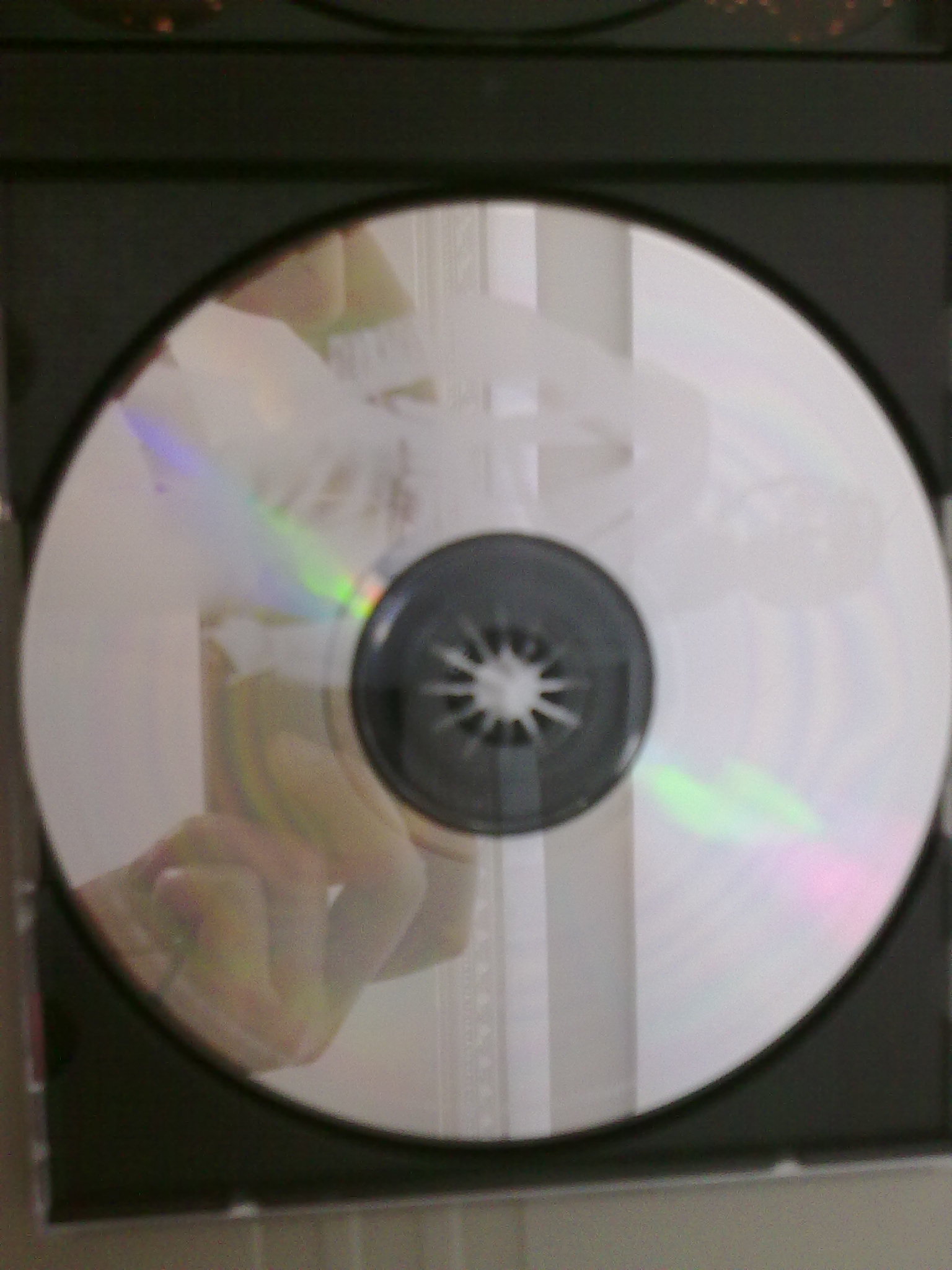 20100212699.jpg