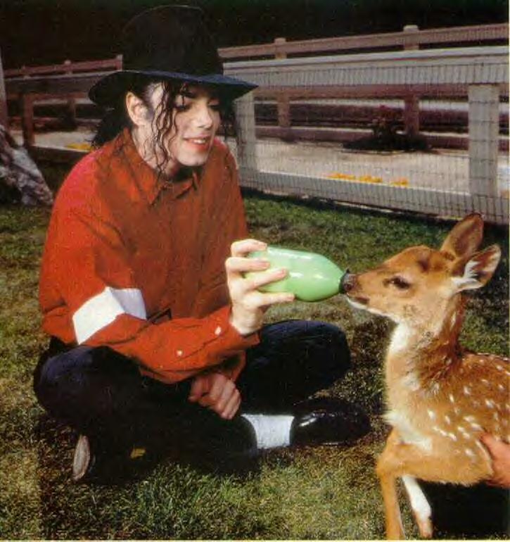 MJ 102.jpg