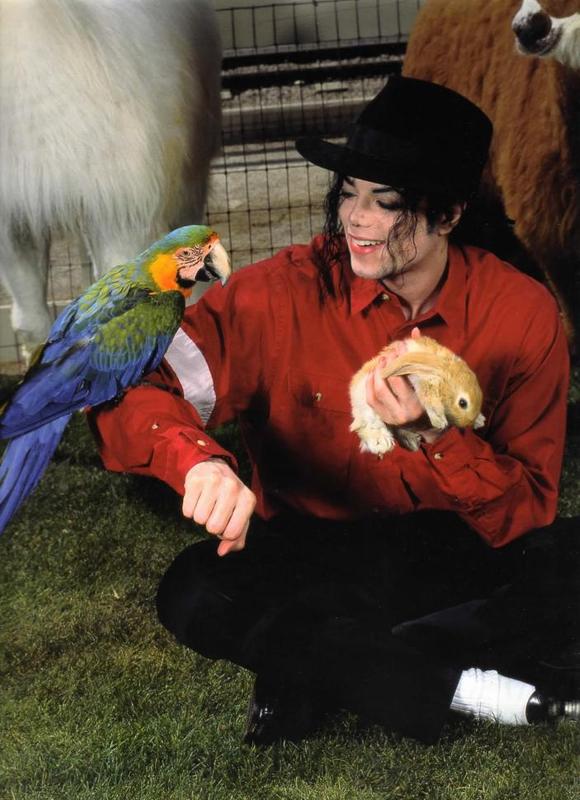 MJ 101.jpg