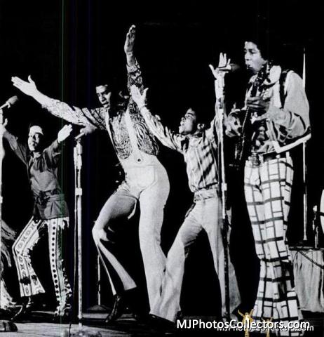 med_gallery_817_14769.jpg
