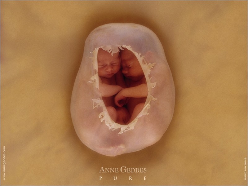 ANNE020.jpg_001.jpg