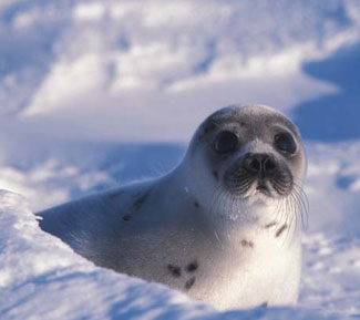 5d8d68c1x660cadbae4d6.jpg