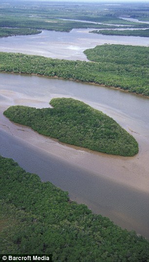 巴西巴里斯河流红树林三角洲的一处岛屿.jpg