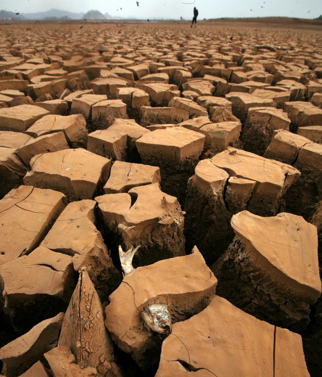 272950_750x750_0.jpg