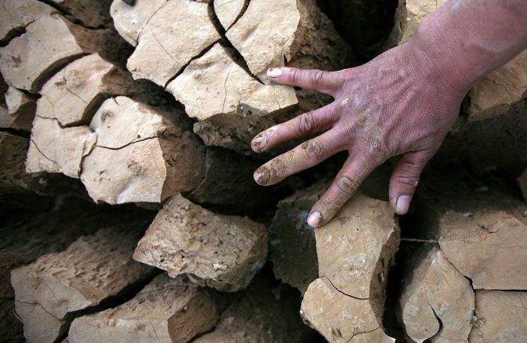 272953_750x750_0.jpg