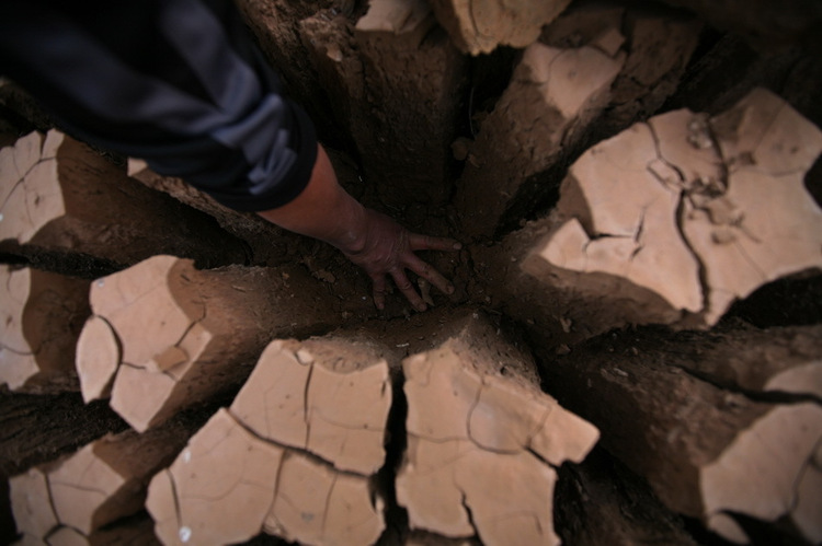 272954_750x750_0.jpg