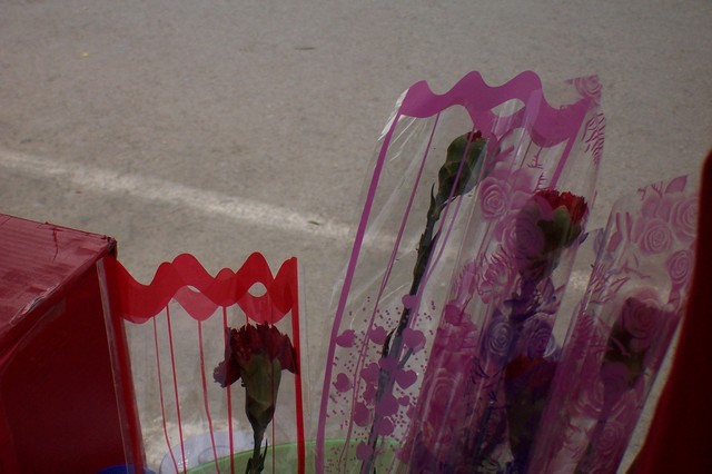 100_1818.JPG