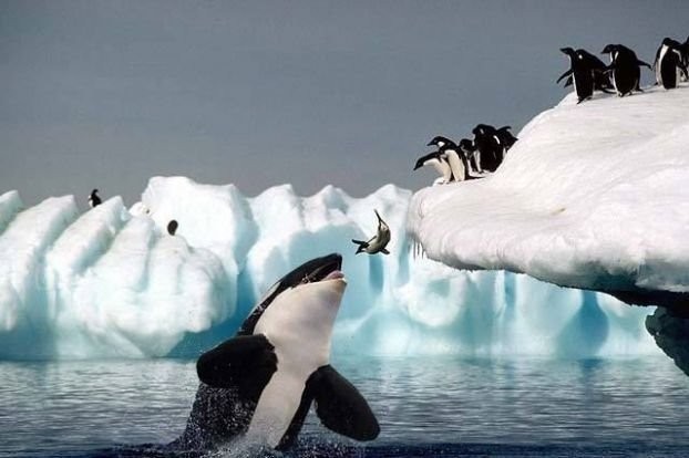 feee2ced-a761-4c5c-a58c-dc9dbc2cb8d1_800X600.jpg